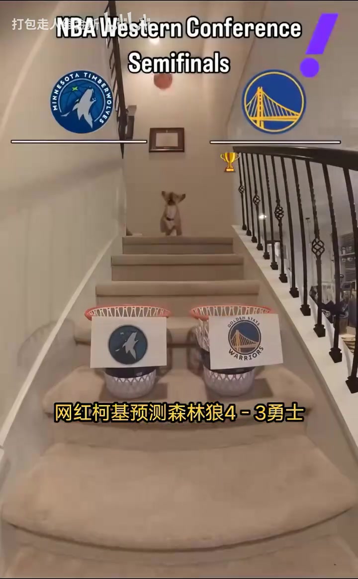 搶七決戰(zhàn)？網(wǎng)紅柯基預(yù)測(cè)系列賽走向：森林狼4比3戰(zhàn)勝勇士！