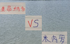 申花米內(nèi)羅VS海港萊昂納多，巴西外援誰更出色？