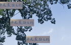 申花后勁不足，海港、國安仍有翻盤機(jī)會。
