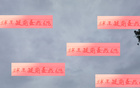 武磊傷退，海港備戰(zhàn)補(bǔ)賽。