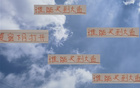 大魚浮頭，夏窗中超購人潮，申花南多，前海港奇塔。