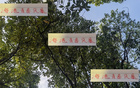 海港青春風(fēng)暴，李新翔領(lǐng)銜，大連賽進(jìn)球助攻顯身手！