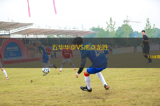 五華華京VS南京龍勝
