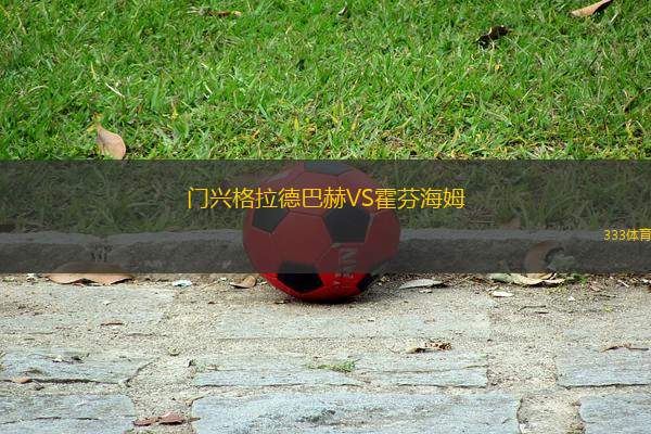 門興格拉德巴赫VS霍芬海姆